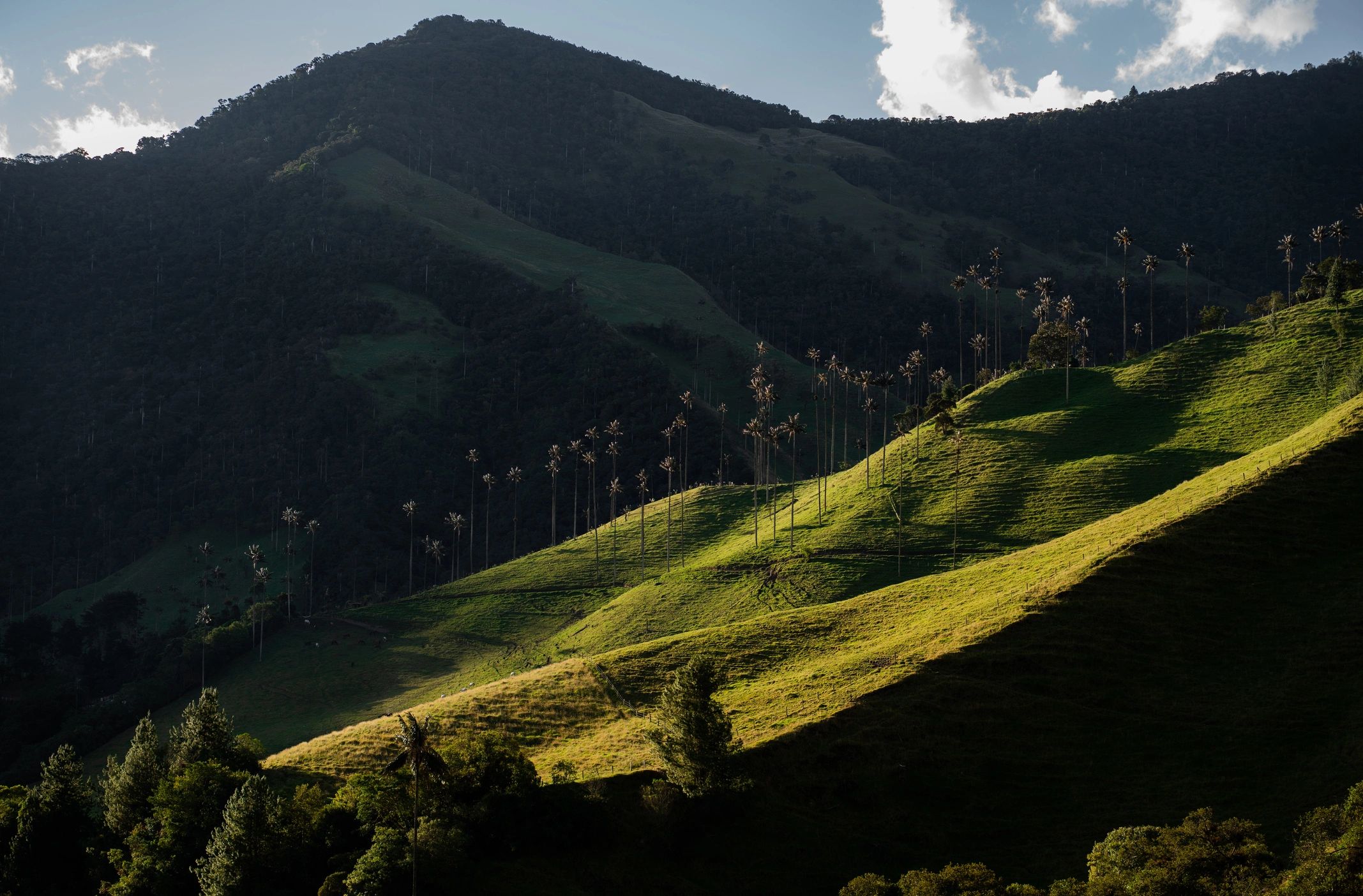Colombian landscape inviting visitors to discover and connect